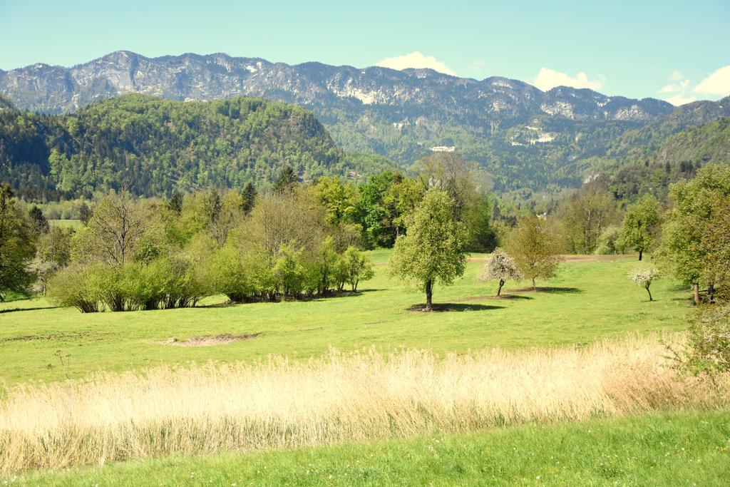 Nature Hotel Lukanc Bled Zewnętrze zdjęcie